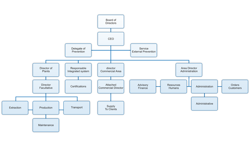Organigrama de estructura organizativa